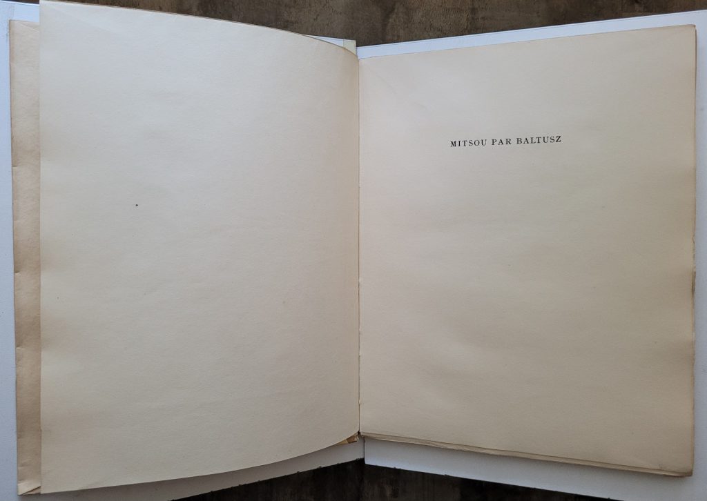 Image of the ffep and the half-title page.