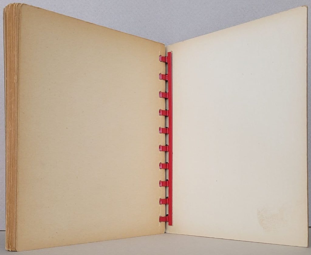 Metal comb at back of Betty Bacon Blunt's wordless novel, Double Trouble.