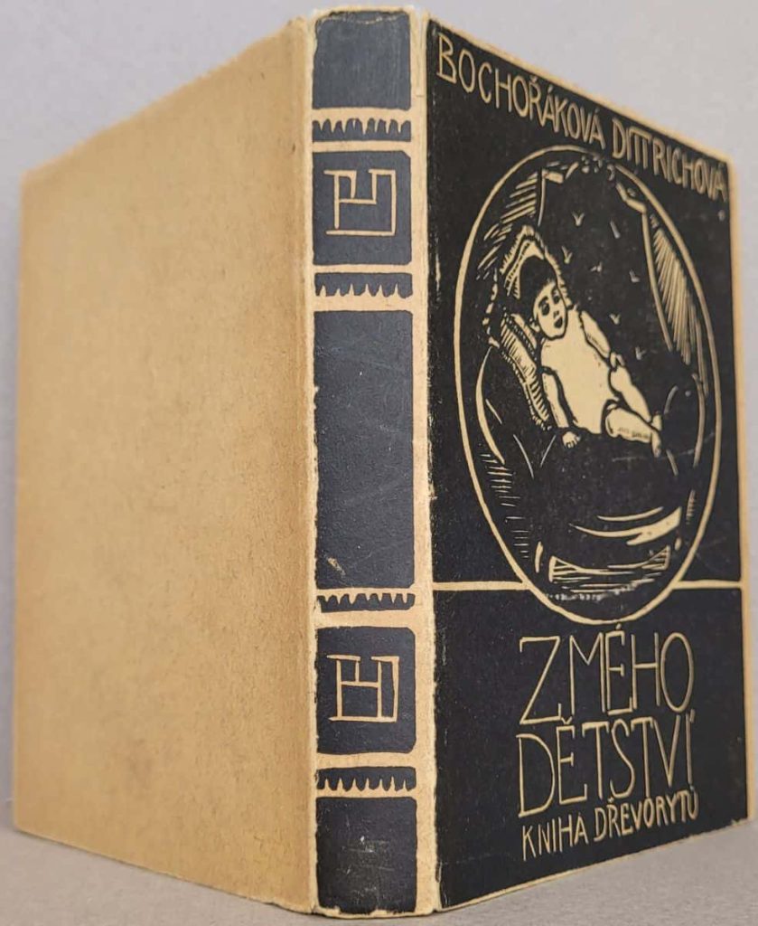 Dust Jacket of Trade copy of Bochorakova's wordless novel, Z Mého Detství.