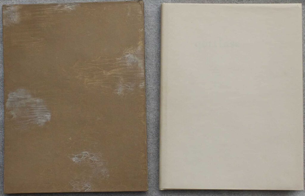 Fries' limited edition to 30 copies of gottlose
showing slip case with a silk moire look and
the book with plain white DJ.