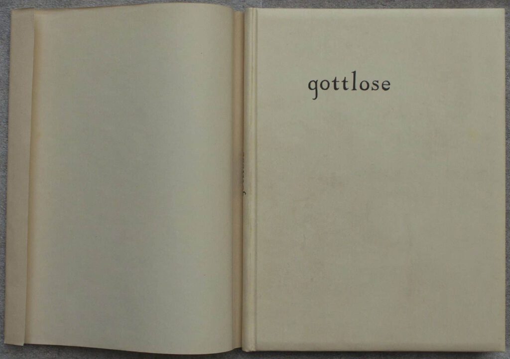 DJ and front cover for
Fries' edition of gottlose limited to 30 copies.