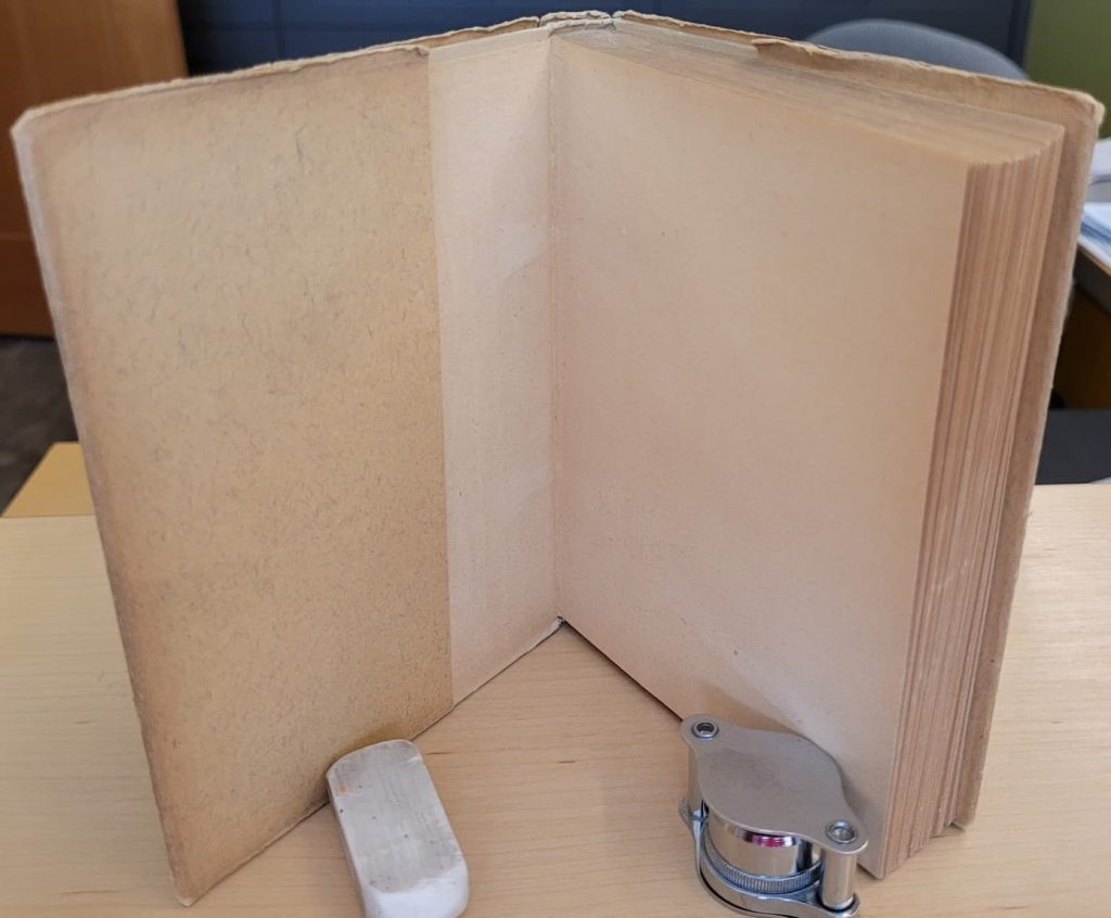 Front flap, pastedown and FFEP of Bochoravko's wordless novel, Z Mého Dětství.