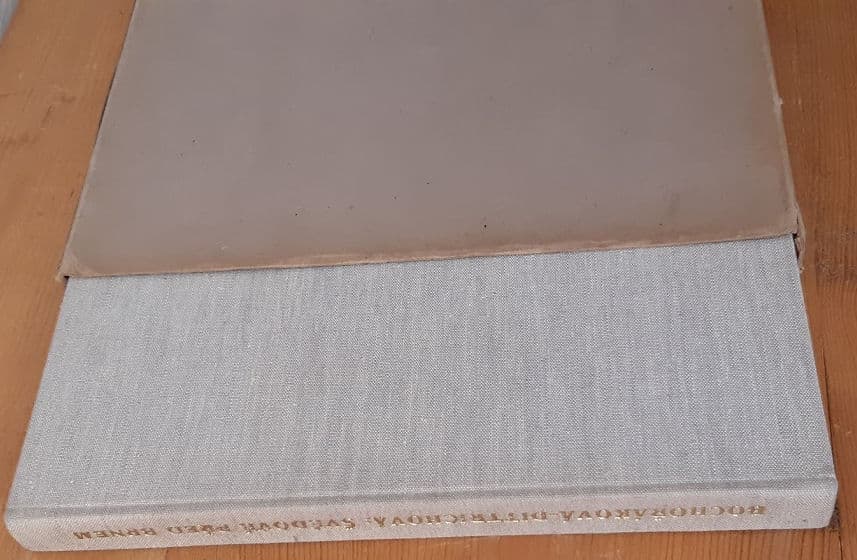Thin card slipcase of the limited edition (90 copies) with Bochoráková’s wordless
novel, Švédové Pred Brnem.